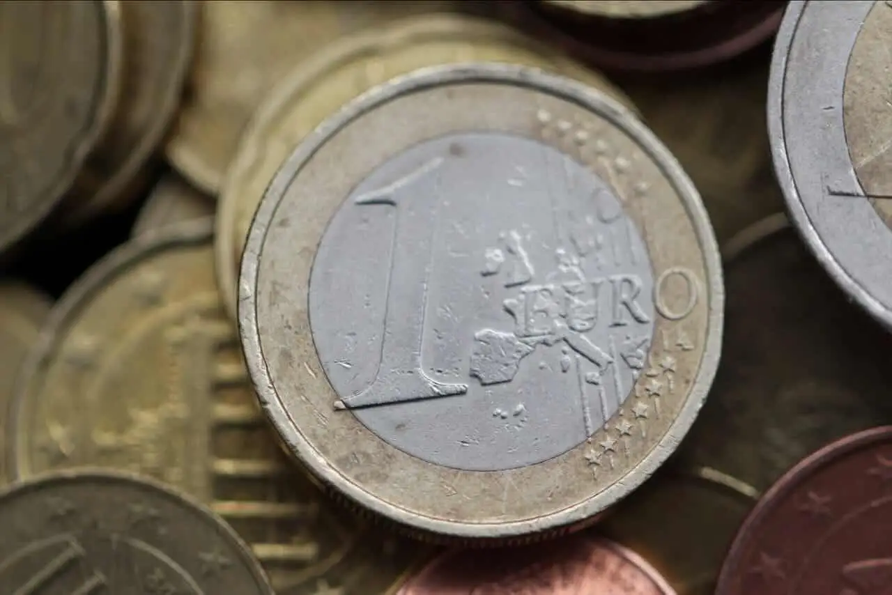 Immagine selezionata